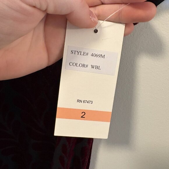 Taylor Dolman Sleeve Velvet Burnout Dress NEW Burgundy Flowy Fall Leaves Classic - Picture 8 of 15